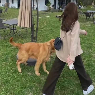 克莱奥:如果我能倒转时间